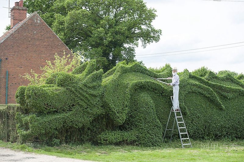 英国一老头因无聊花10年修剪了长达45米的绿色龙雕塑--阿里百秀